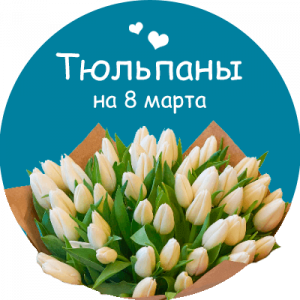 Купить тюльпаны 